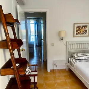 Ideal Apartment